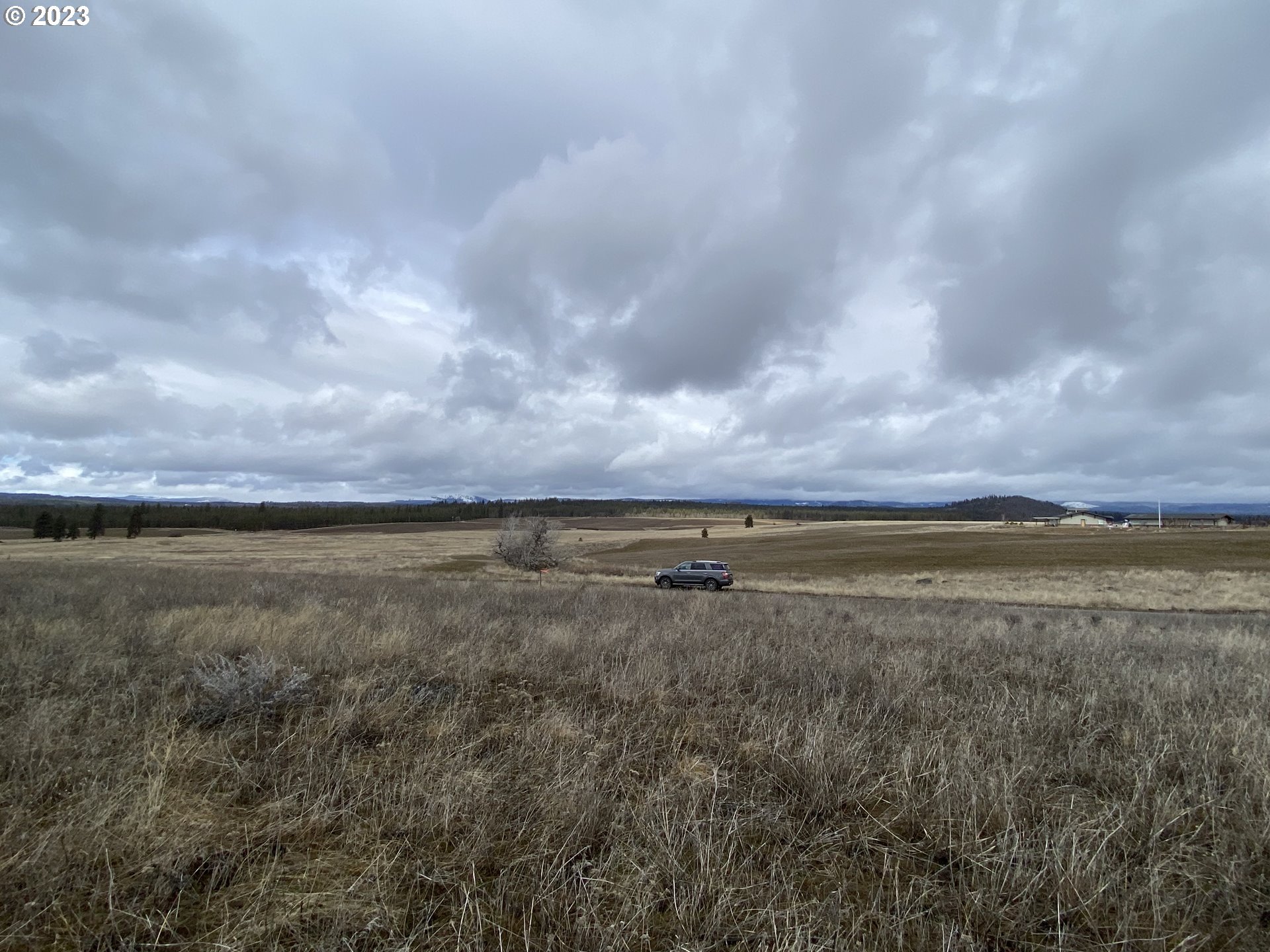 Quail Goldendale, WA 98620 - Photo 8 of 10 Gallery Image 8