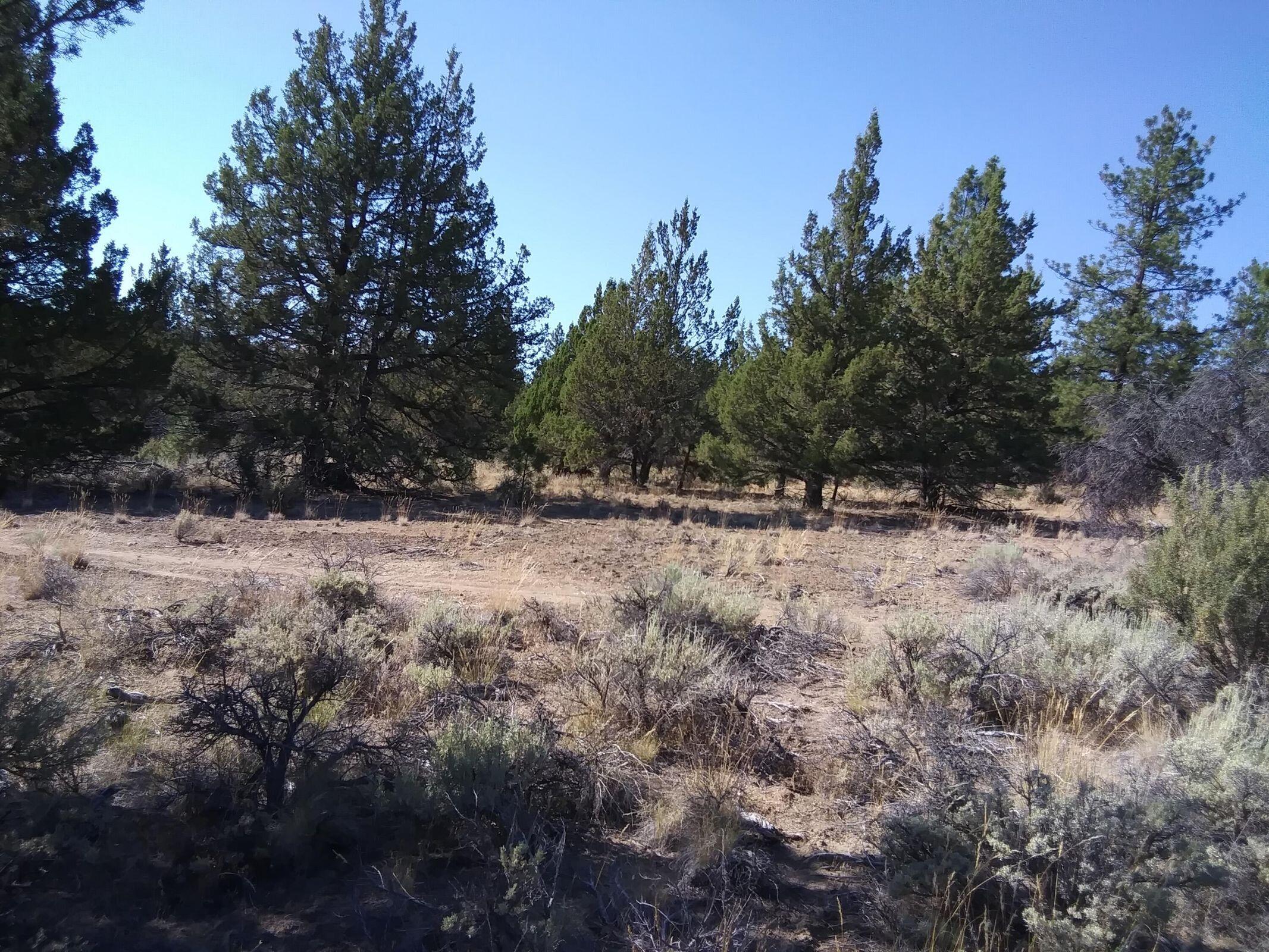 0 Ferguson Mountain Road, Unit LOT 3 B 500 Beatty, OR 97621 - Photo 6 of 7 Ferguson6