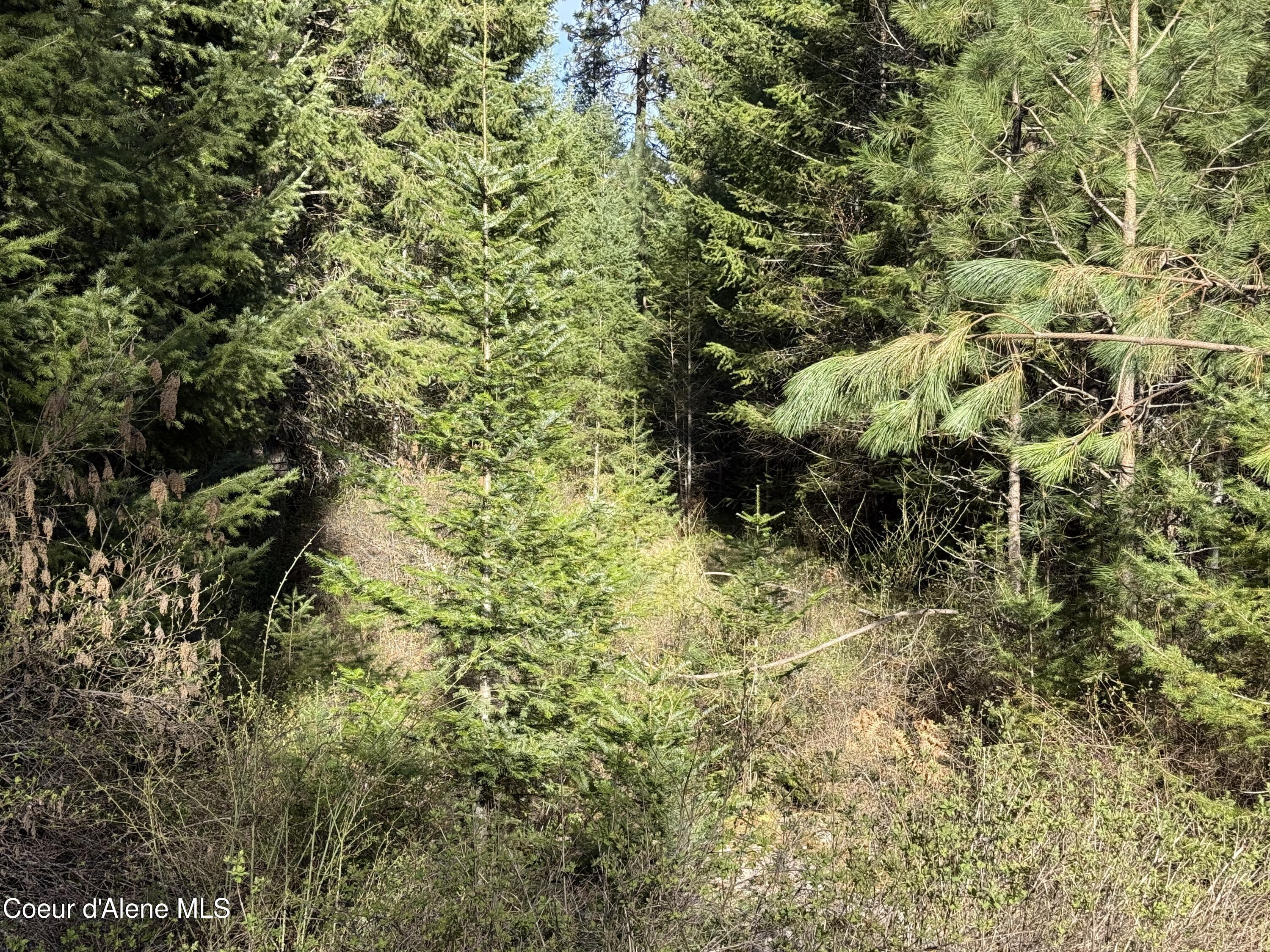 Nna East Half Round Bay Road Harrison, ID 83833 - Photo 6 of 27 IMG_0165