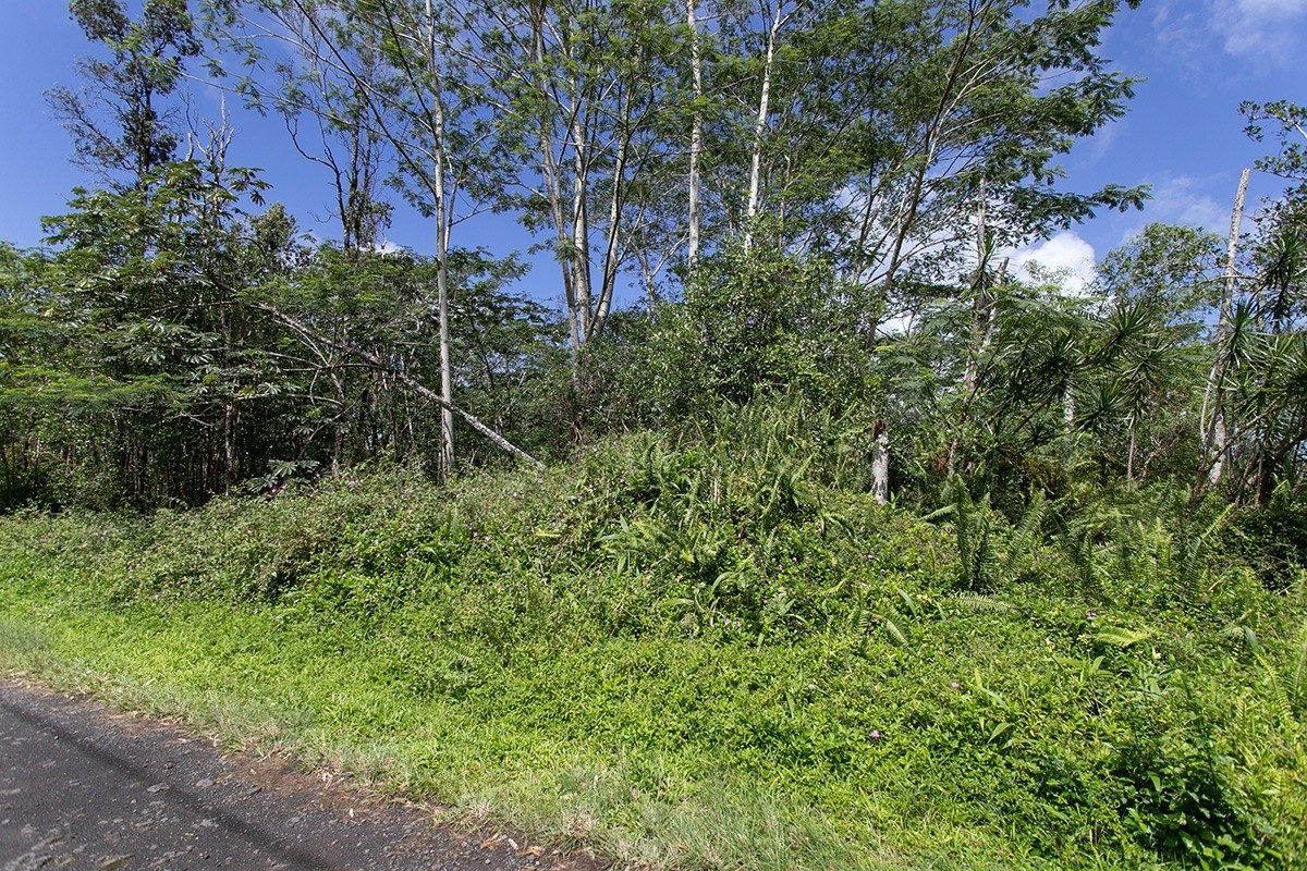 205 Pakalana Road Pahoa, HI 96778 - Photo 1 of 5 Gallery Image 1