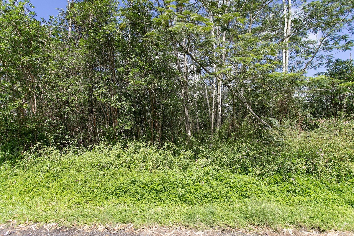 205 Pakalana Road Pahoa, HI 96778 - Photo 2 of 5 Gallery Image 2