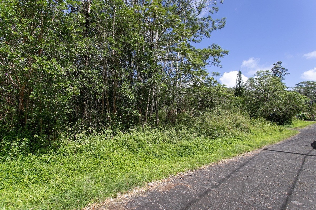 205 Pakalana Road Pahoa, HI 96778 - Photo 3 of 5 Gallery Image 3