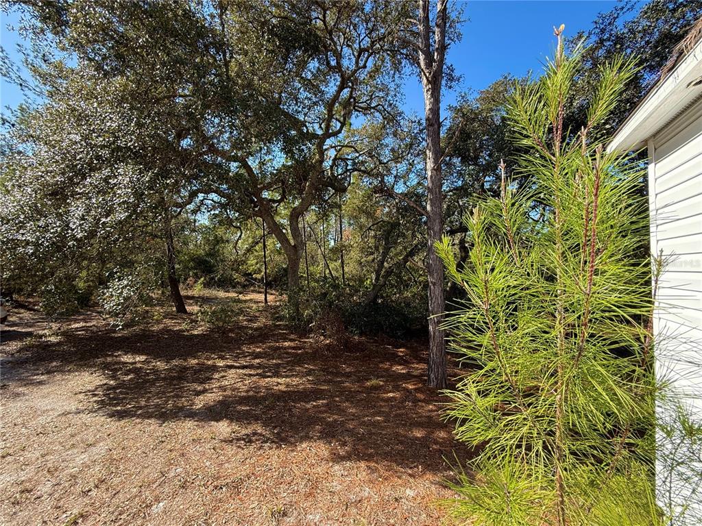 40001 Maggie Jones Road Eustis, FL 32736 - Photo 14 of 64 Gallery Image 14