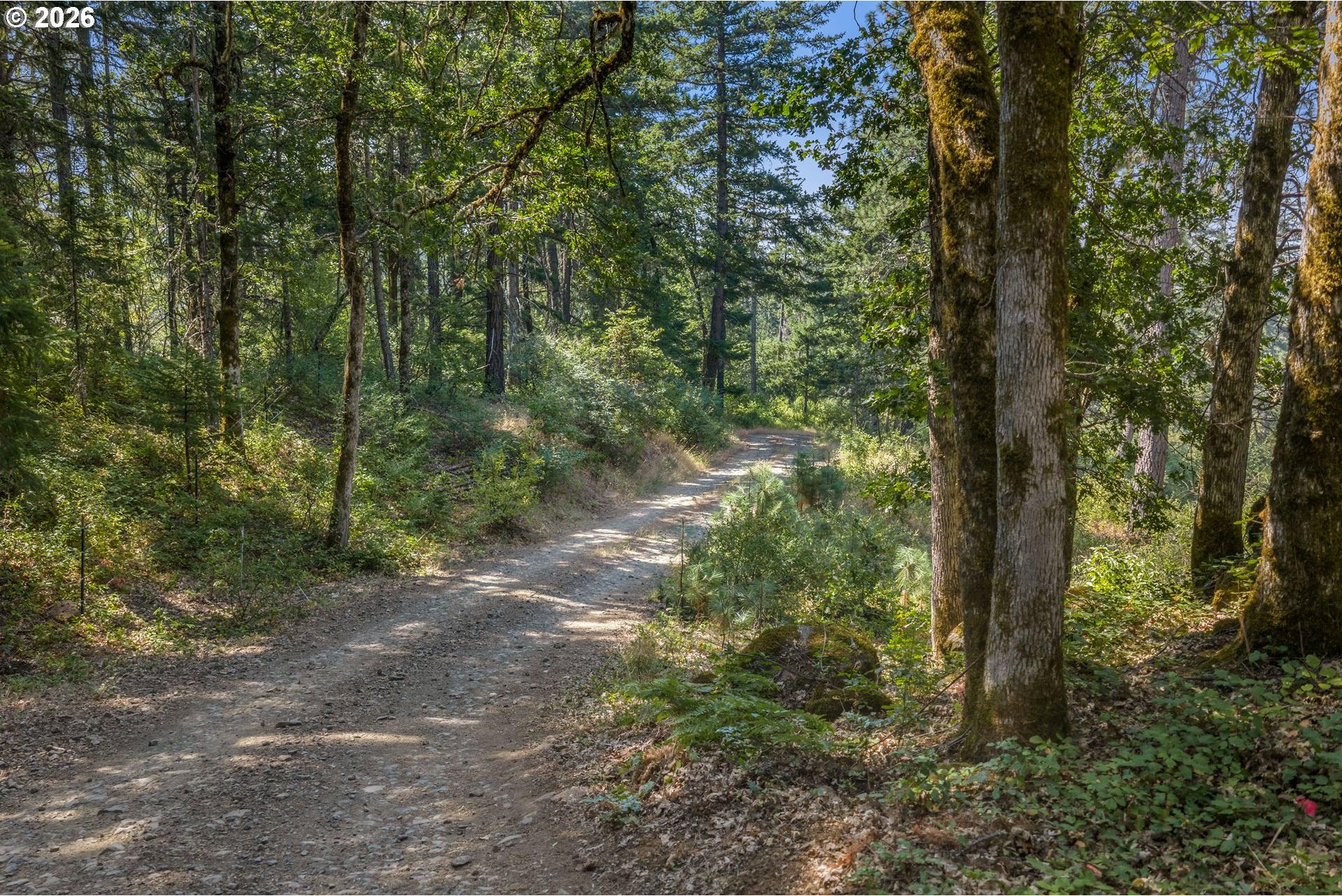 232 Lyons Road White Salmon, WA 98672 - Photo 12 of 48 Gallery Image 12