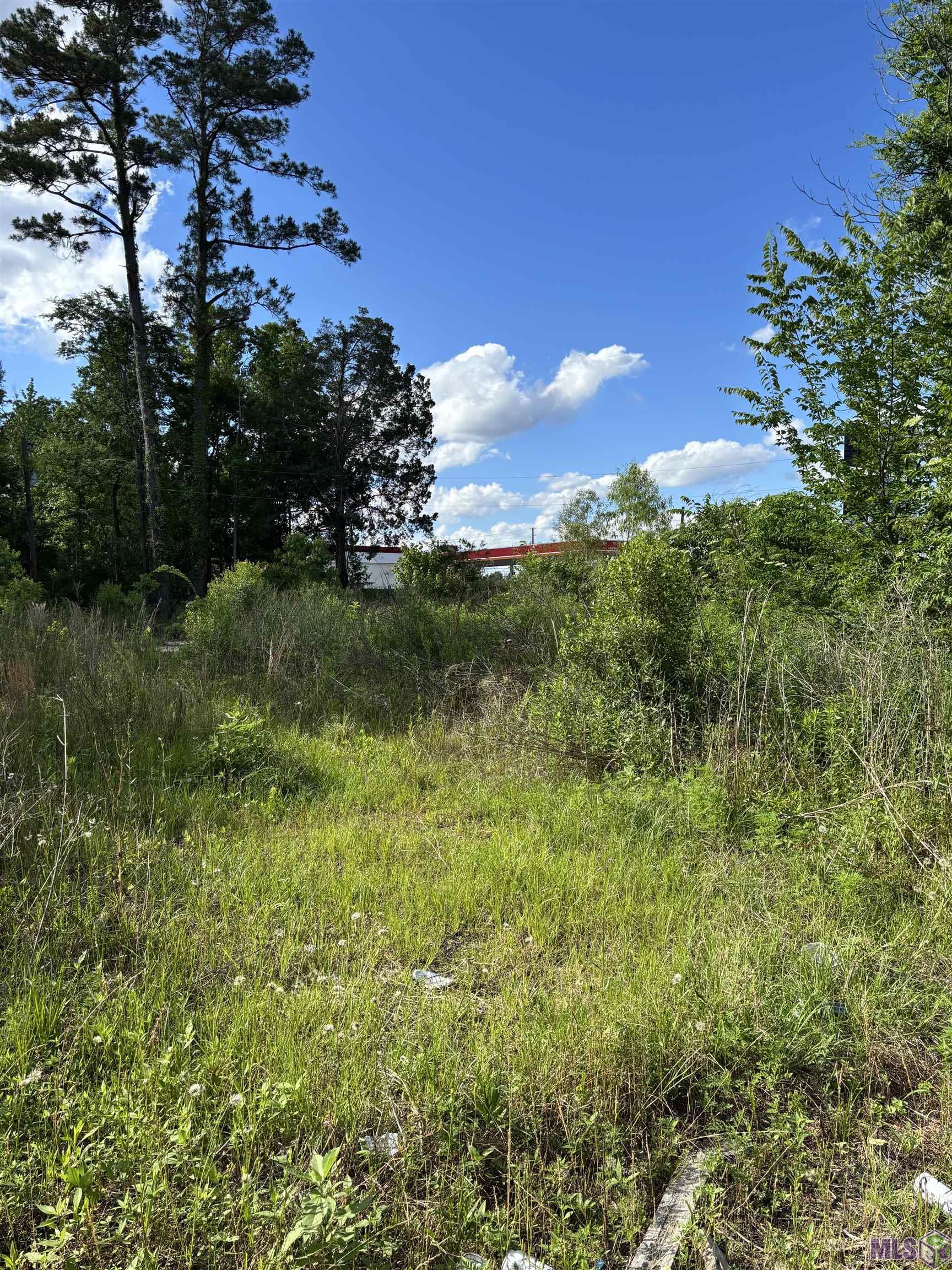 25739 Gill Road Denham Springs, LA 70726 - Photo 2 of 3