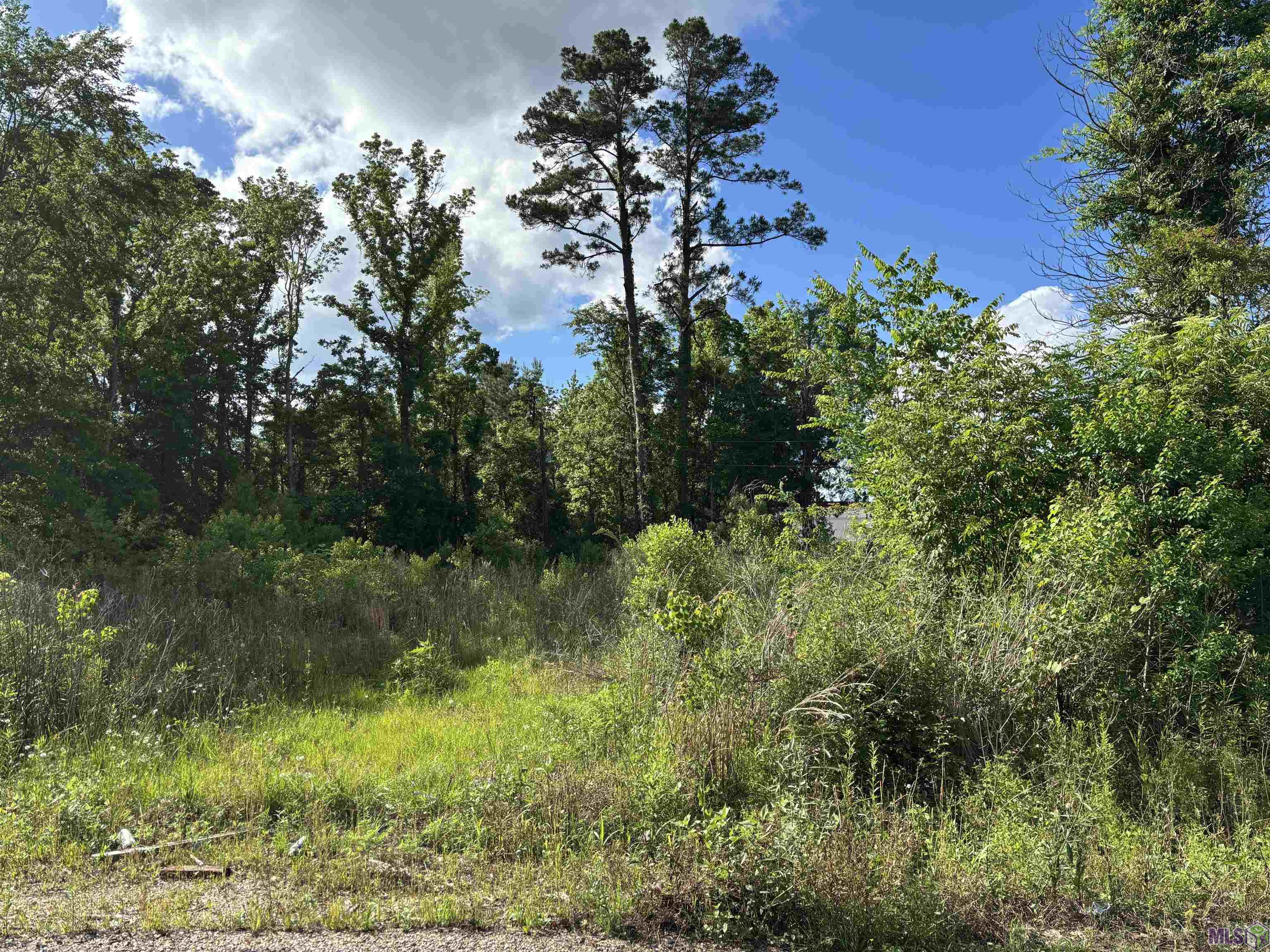 25739 Gill Road Denham Springs, LA 70726 - Photo 3 of 3