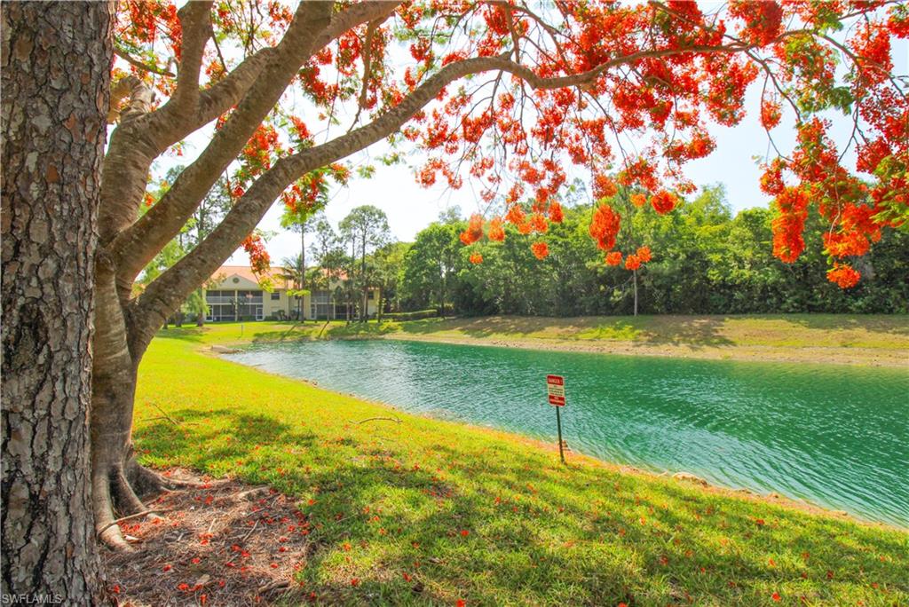 225 Robin Hood Circle, Unit 203 Naples, FL 34104 - Photo 5 of 50 View of water view