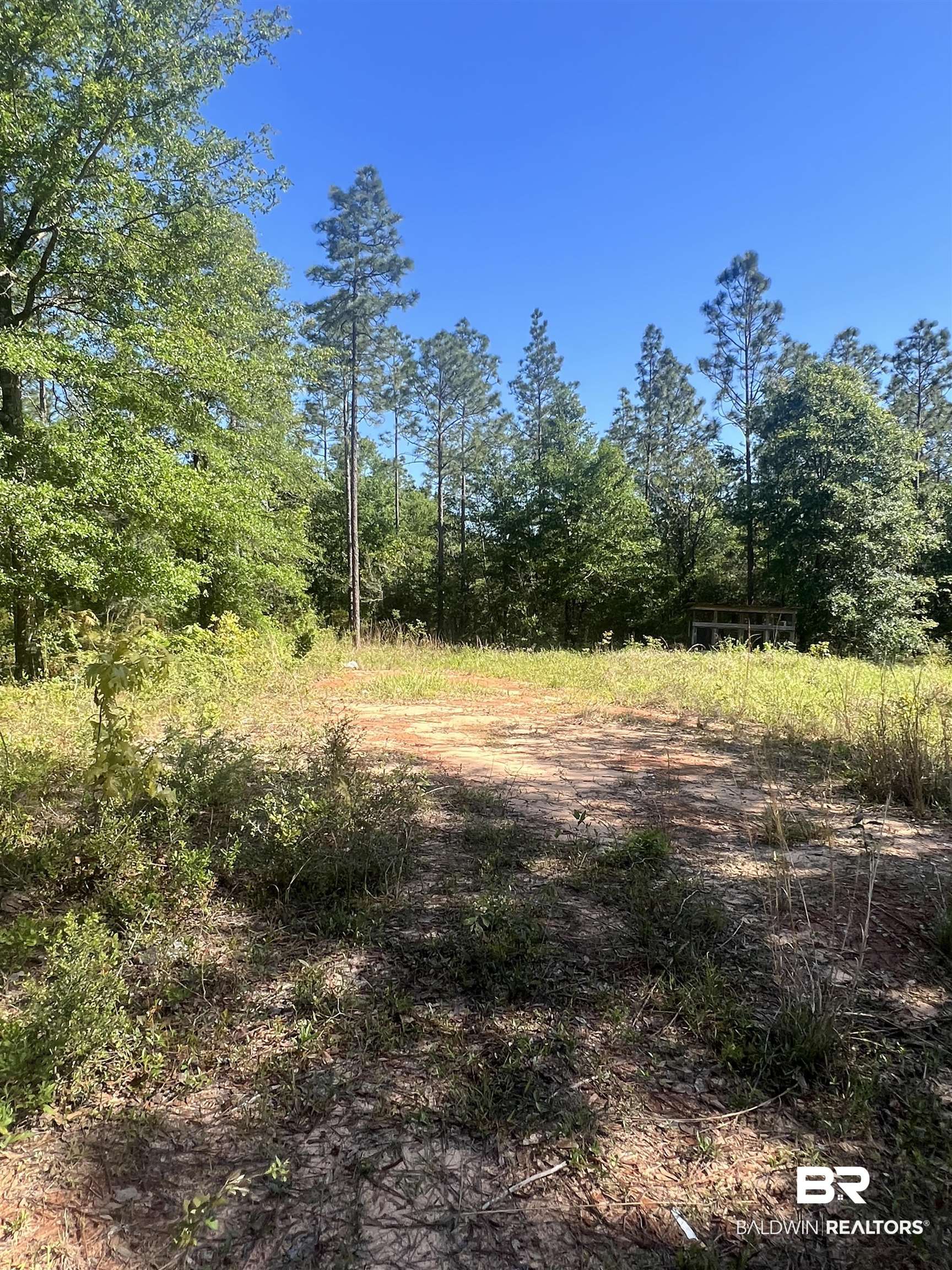 0 East Chunchula Highlands Road Chunchula, AL 36521 - Photo 17 of 18