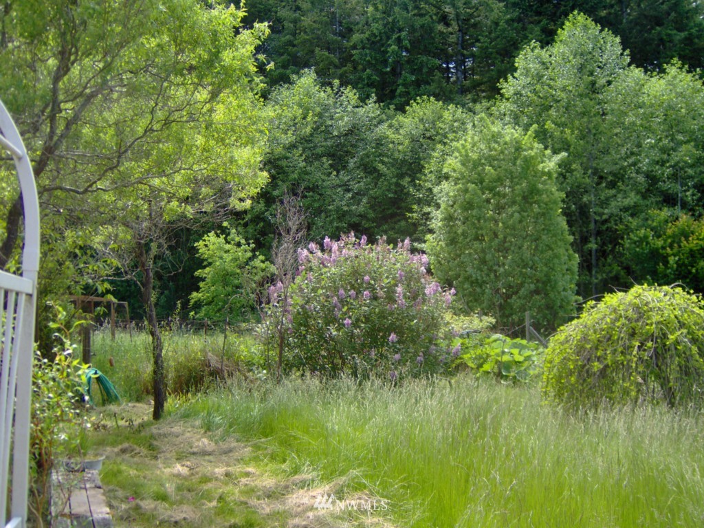 1785 Middle Fork Road Onalaska, WA 98570 - Photo 10 of 15 Gallery Image 10