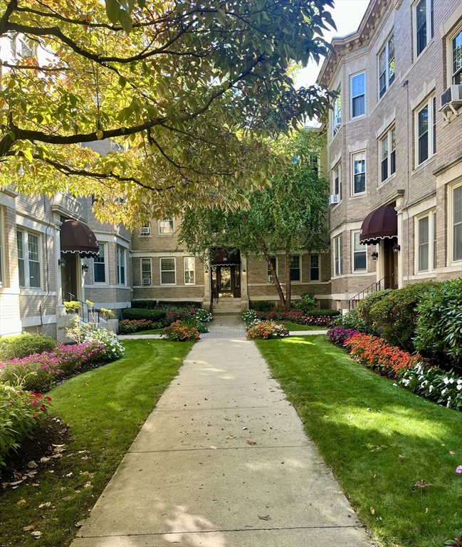 58 Dwight Street, Unit 6 Brookline, MA 02446 - Photo 2 of 21 a front view of a house with a yard and potted plants
