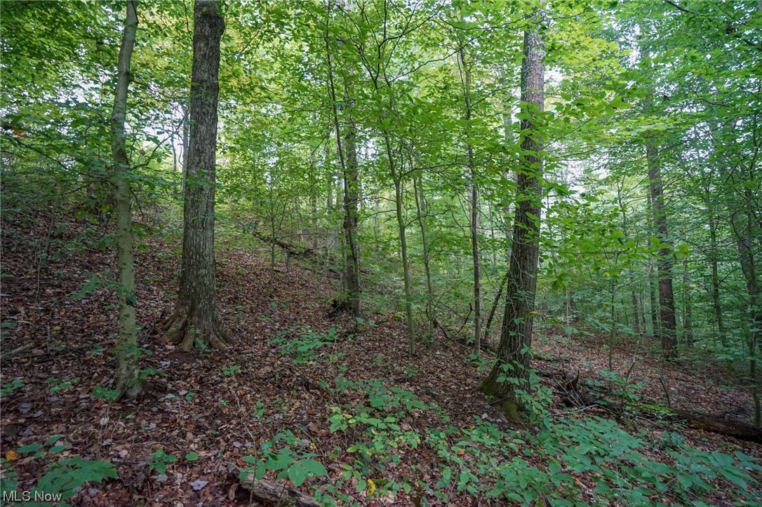 0 Reed Marietta, OH 45750 - Photo 3 of 35 View of mother earth's splendor