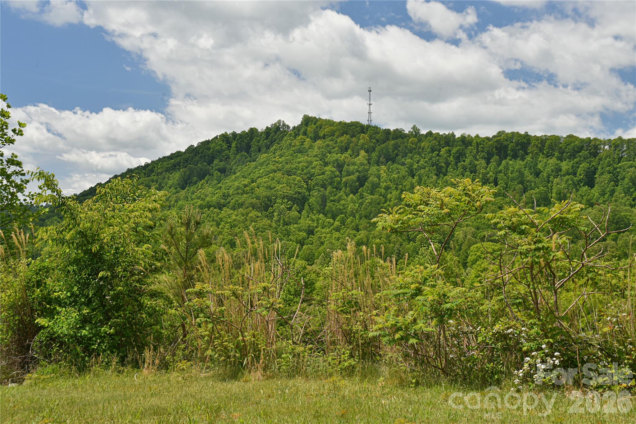116 Kay Road Flat Rock, NC 28731 - Photo 30 of 34
