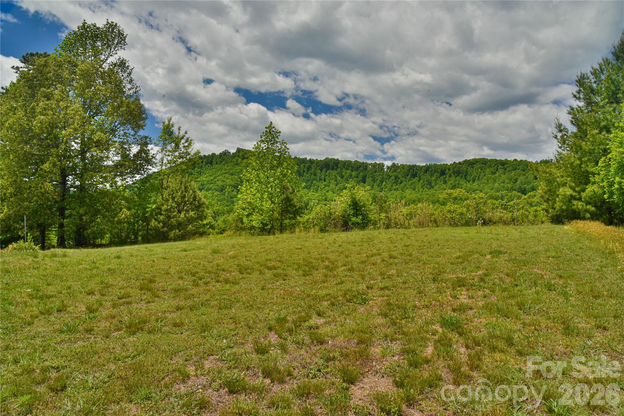 116 Kay Road Flat Rock, NC 28731 - Photo 5 of 34