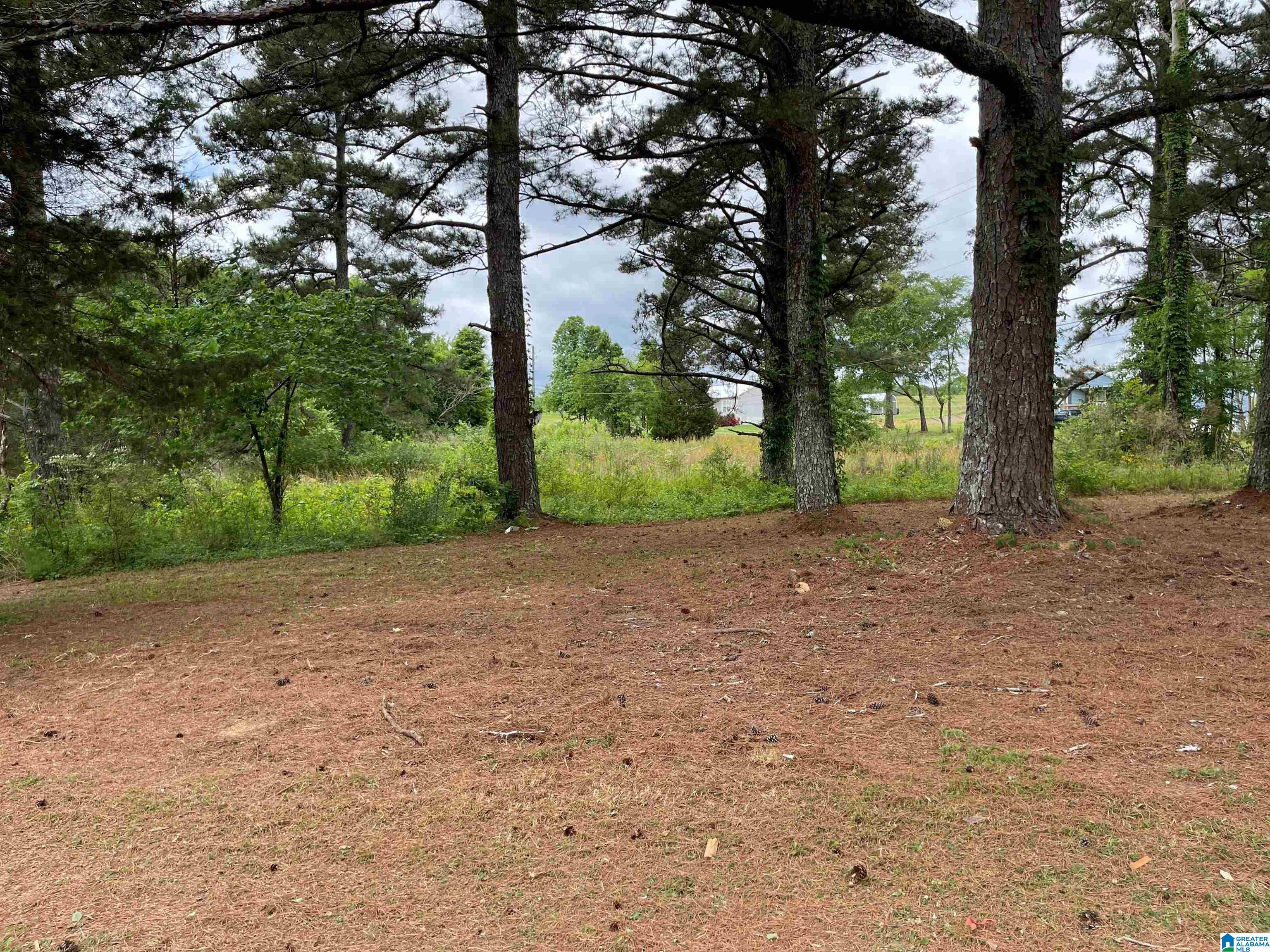 3730 Graves Gap Road Hayden, AL 35079 - Photo 17 of 27