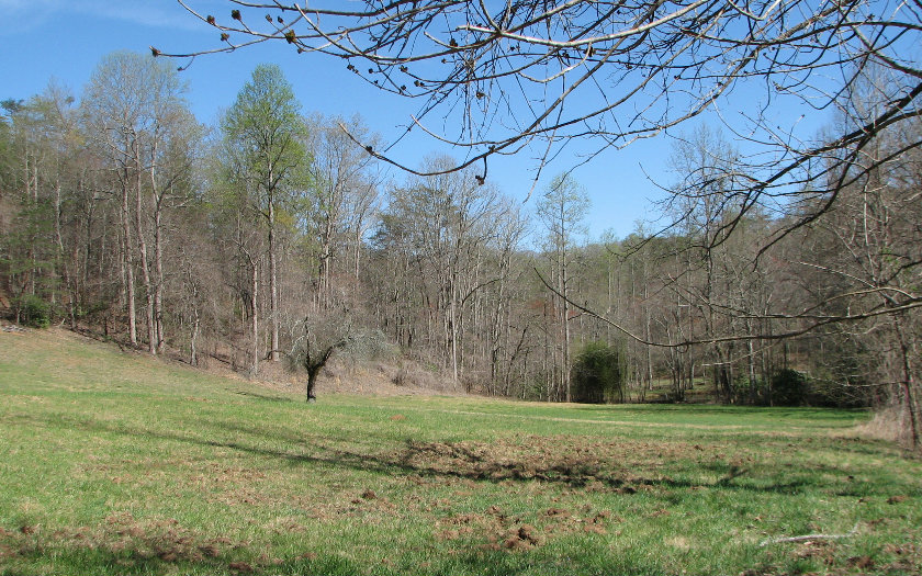Main View