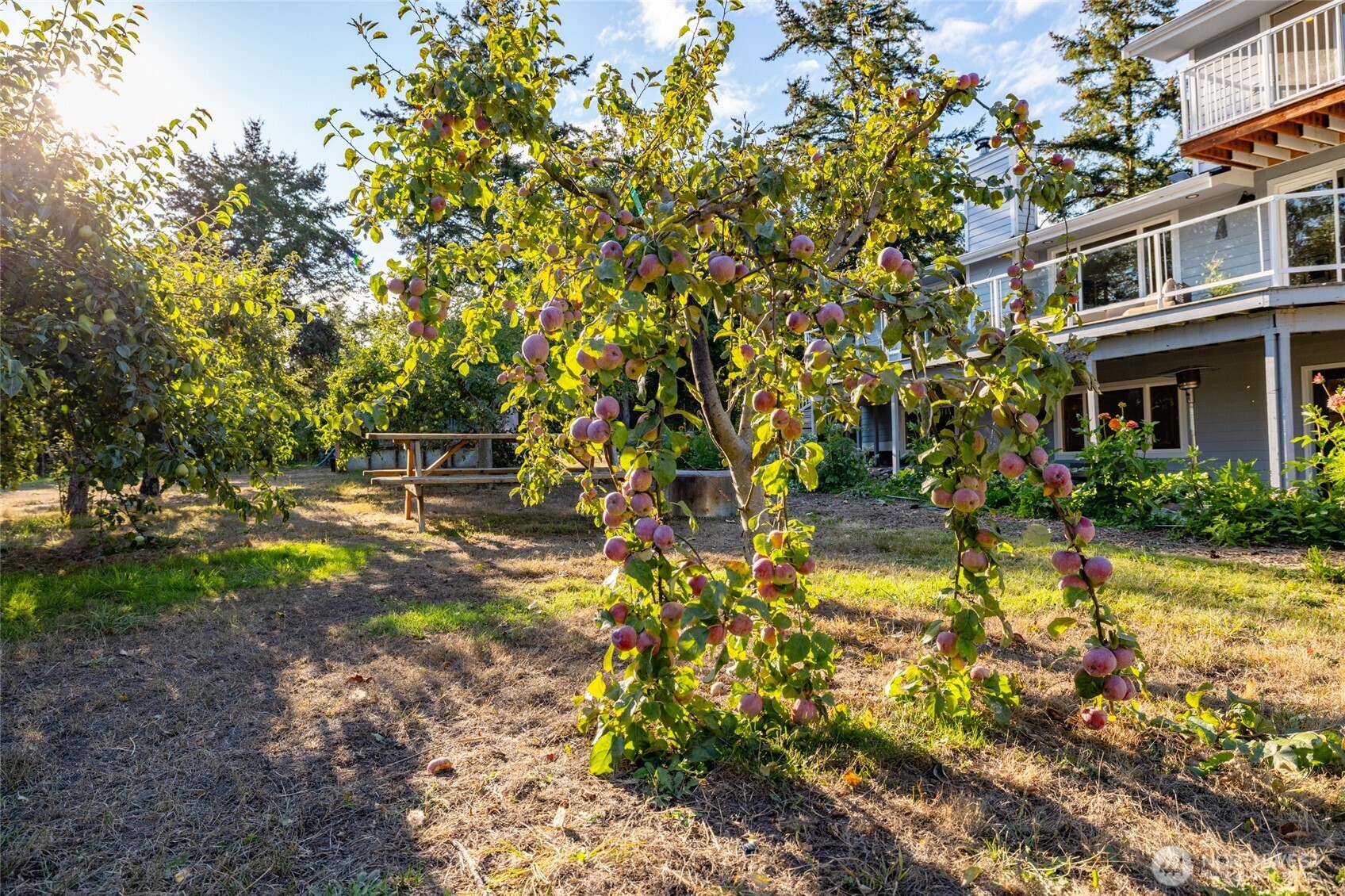 1407 Arnold Road Oak Harbor, WA 98277 - Photo 40 of 40 Gallery Image 40