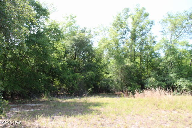 5929 Nichols Road Bascom, FL 32423 - Photo 17 of 58