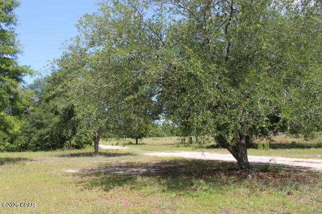 5929 Nichols Road Bascom, FL 32423 - Photo 21 of 58