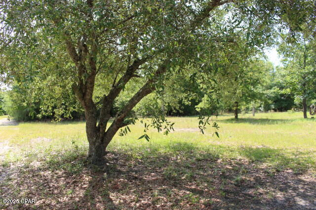 5929 Nichols Road Bascom, FL 32423 - Photo 29 of 58