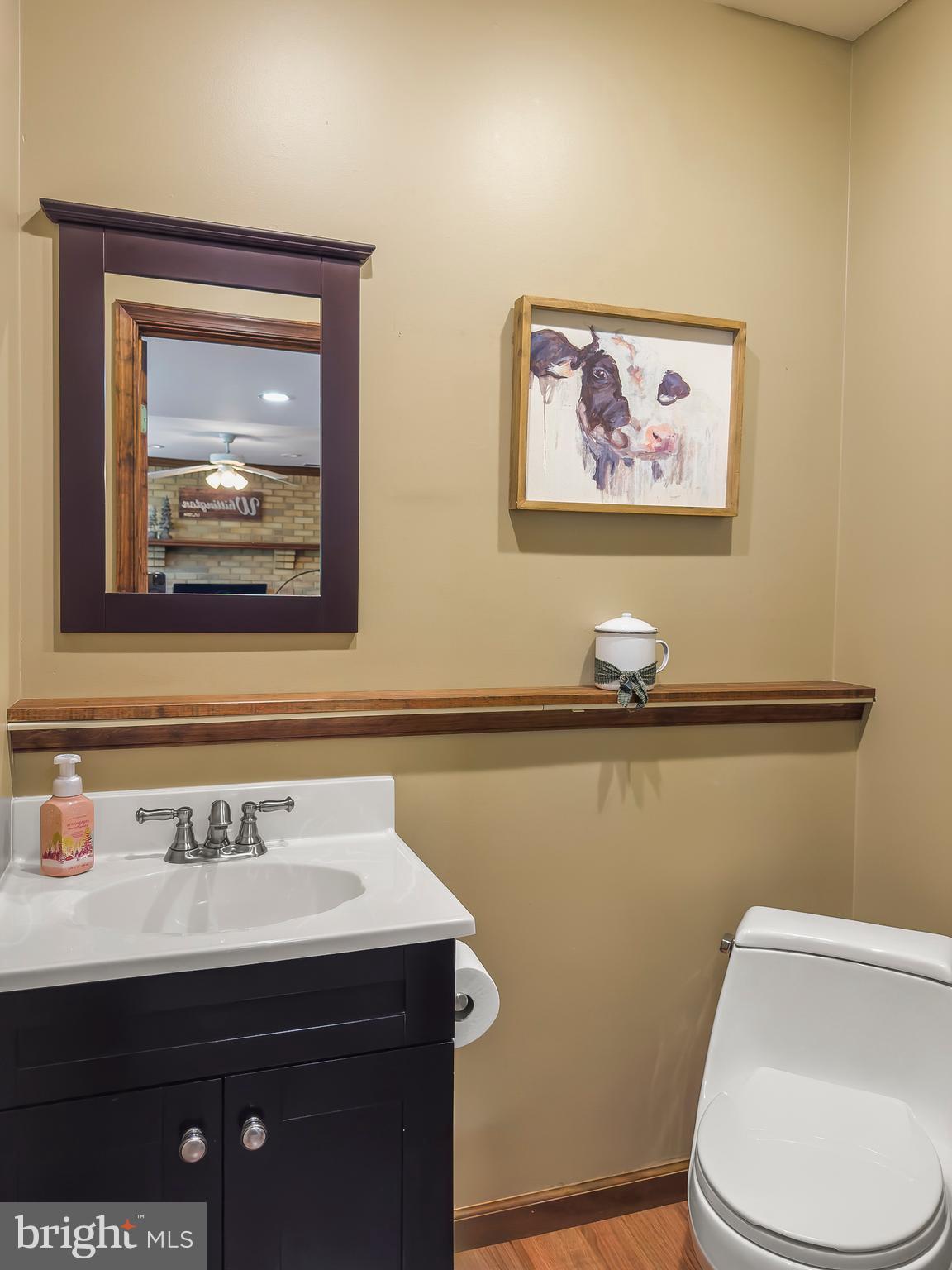 3873 Birdsville Road Davidsonville, MD 21035 - Photo 35 of 63 Lower Level 1/2 Bath