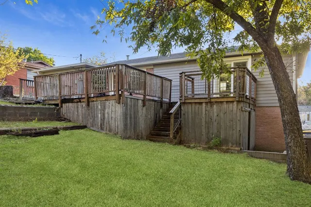 a view of a backyard with potted plants and large tree