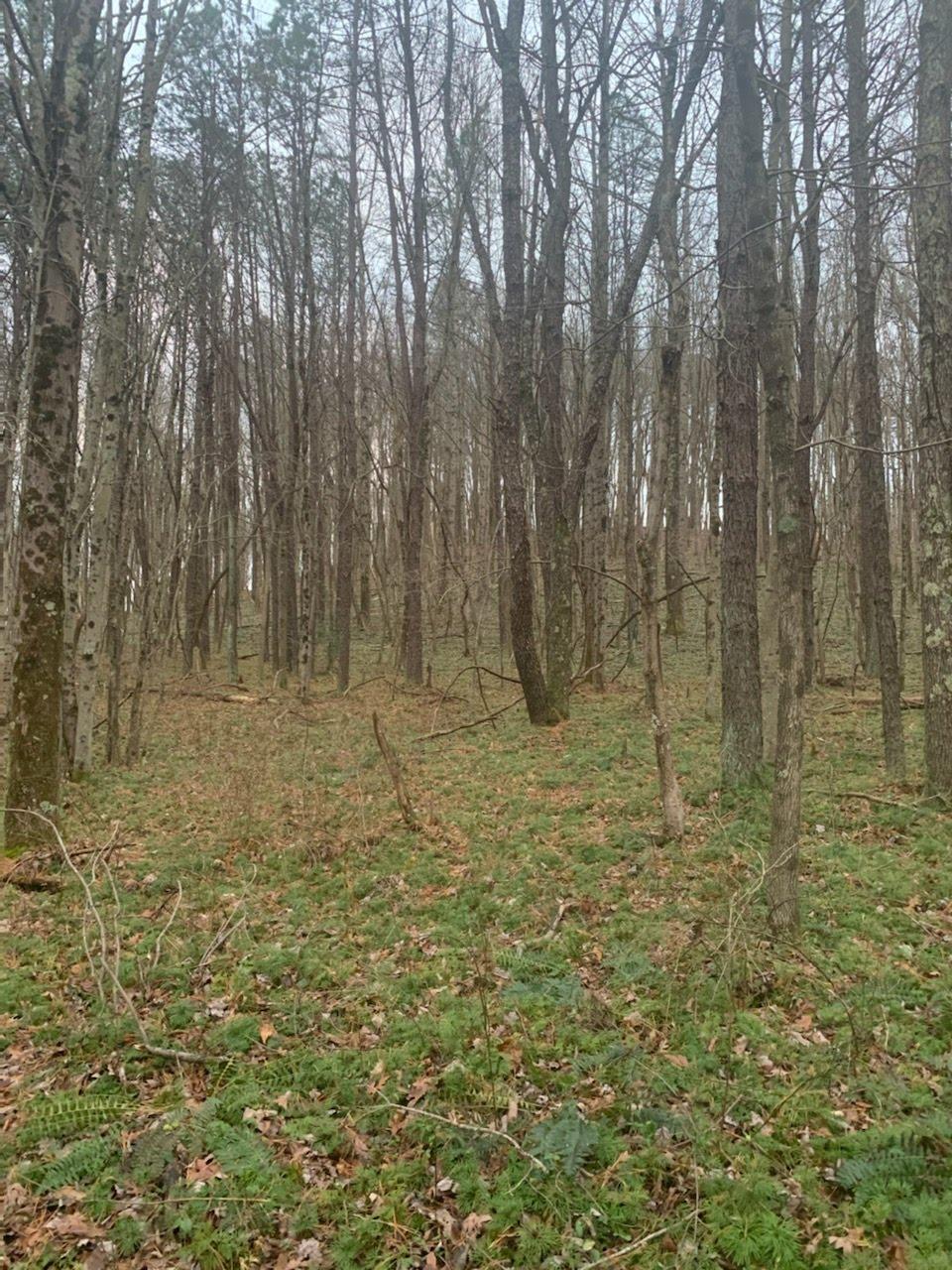 0 Eaton Hollow Road Southwest Lancaster, OH 43130 - Photo 2 of 4 Gallery Image 2