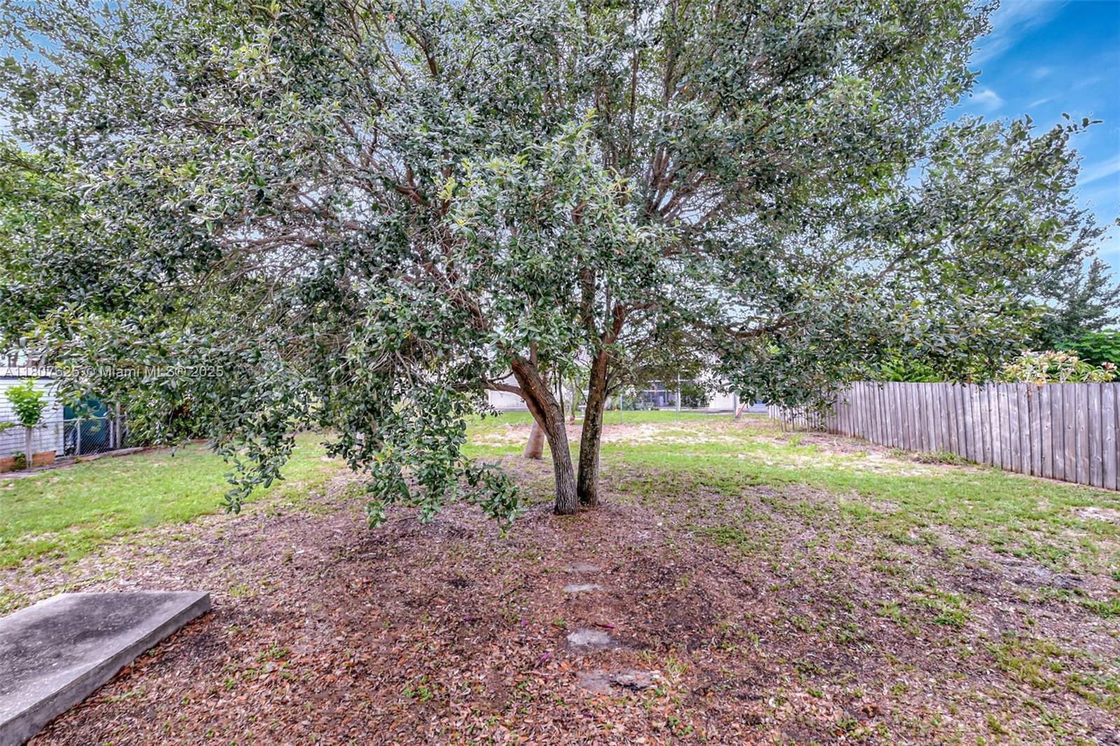 6160 Camp Lee Road West Palm Beach, FL 33417 - Photo 42 of 42 a view of backyard with large trees