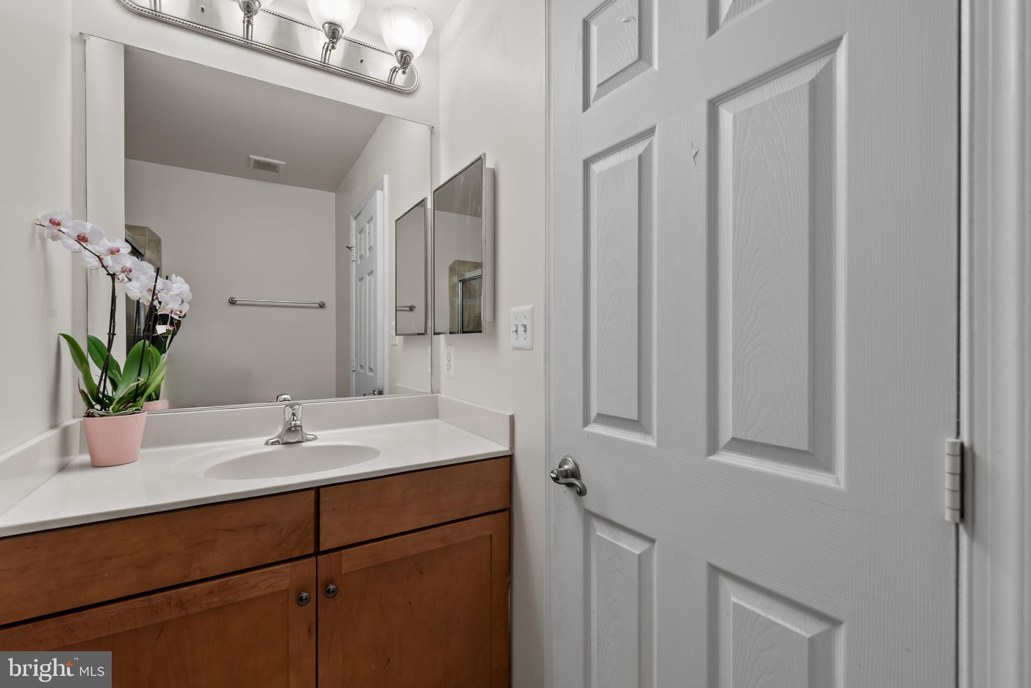 830 Ryan Street Baltimore, MD 21230 - Photo 19 of 24 a bathroom with a sink a vanity and a mirror