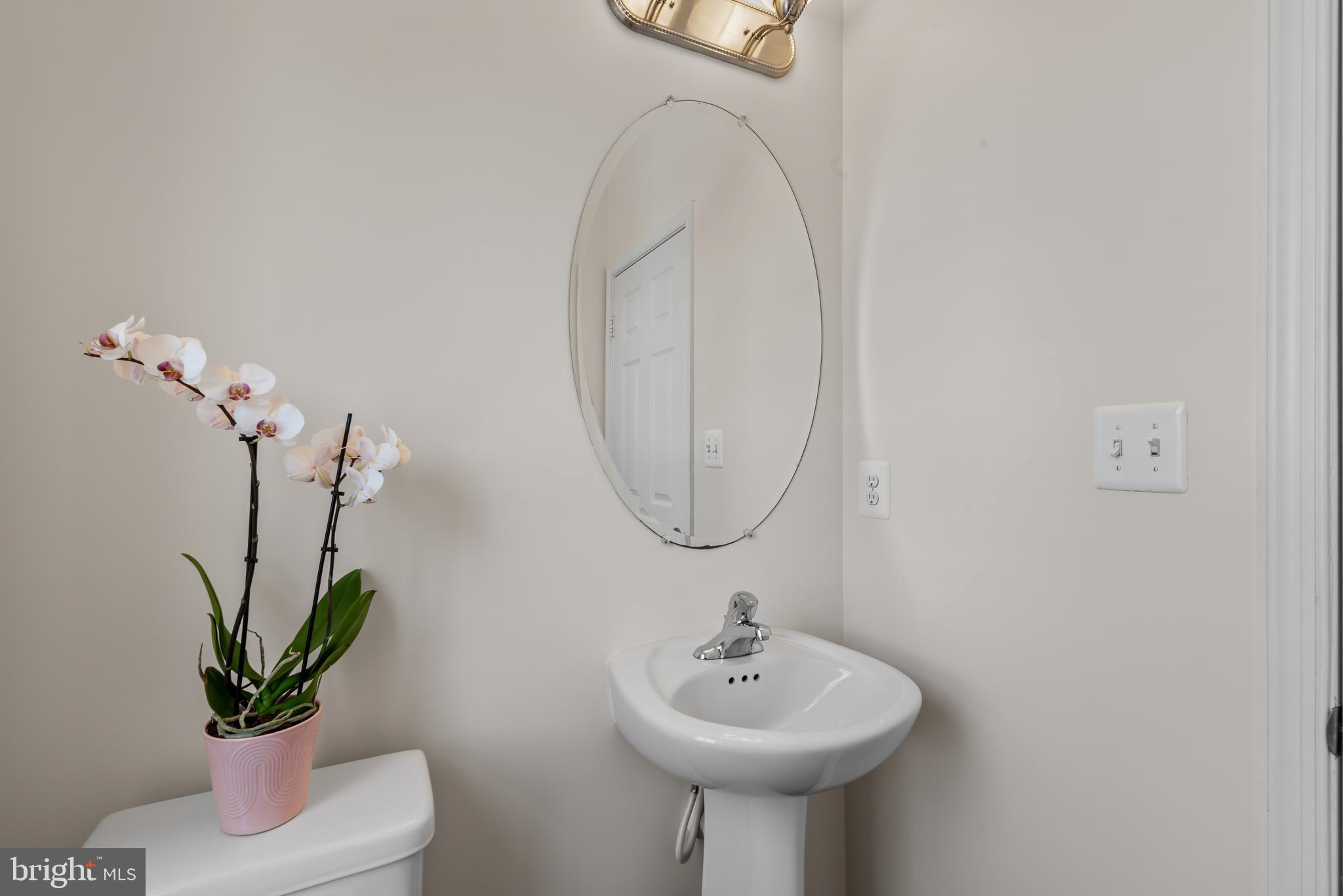 830 Ryan Street Baltimore, MD 21230 - Photo 5 of 24 a bathroom with a sink a mirror and a potted plant