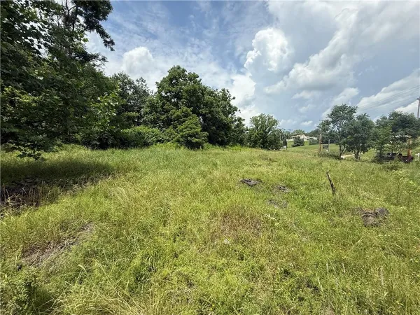 a view of a green yard with lots of bushes