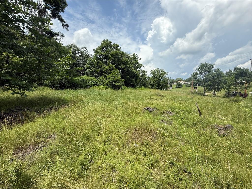 4650 Old Frankstown Road Monroeville, PA 15146 - Photo 4 of 7 a view of a big yard with plants and large trees
