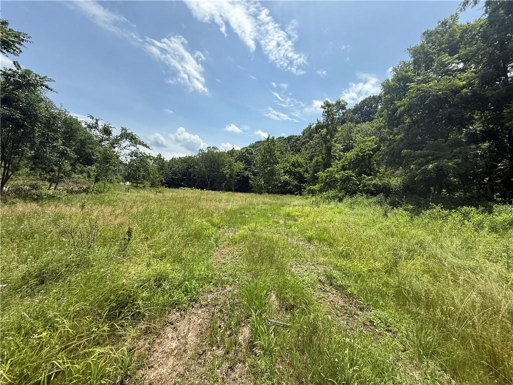 4650 Old Frankstown Road Monroeville, PA 15146 - Photo 5 of 7 a view of a green yard with lots of bushes