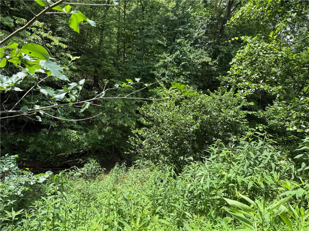 4650 Old Frankstown Road Monroeville, PA 15146 - Photo 6 of 7 a backyard of a house with lots of plants