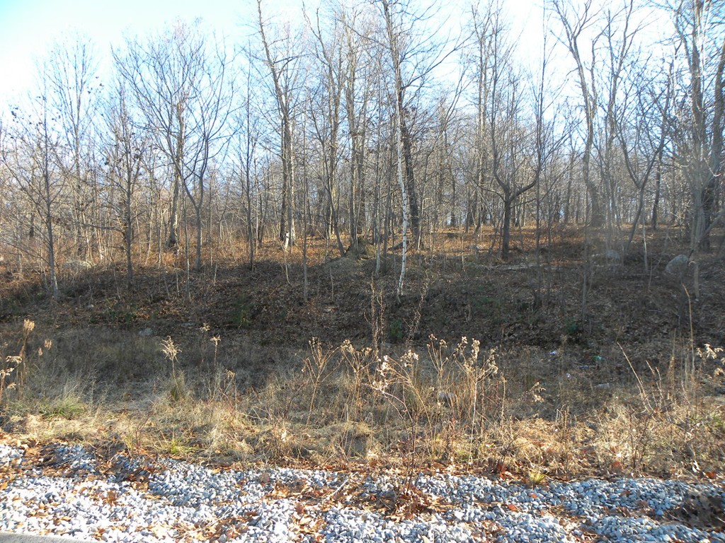 Gallery Image 7