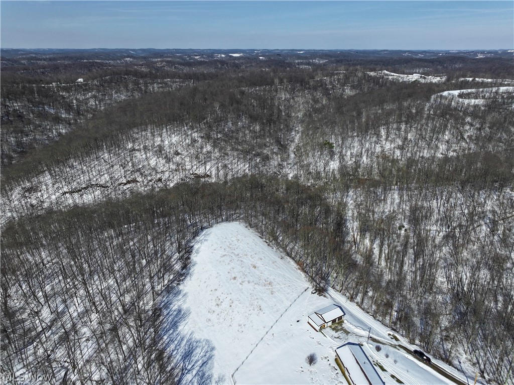 0 Tract 4 Twp Road Woodsfield, OH 43793 - Photo 16 of 34