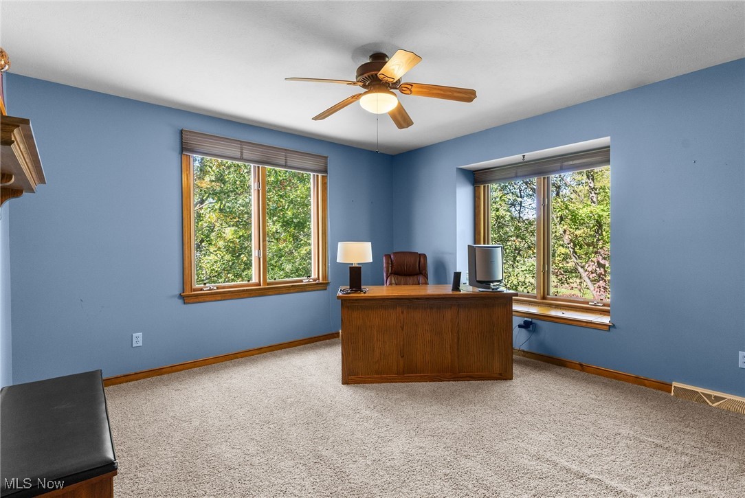 2430 Howland Wilson Road Northeast Warren, OH 44484 - Photo 29 of 33 Unfurnished office with carpet floors and ceiling fan