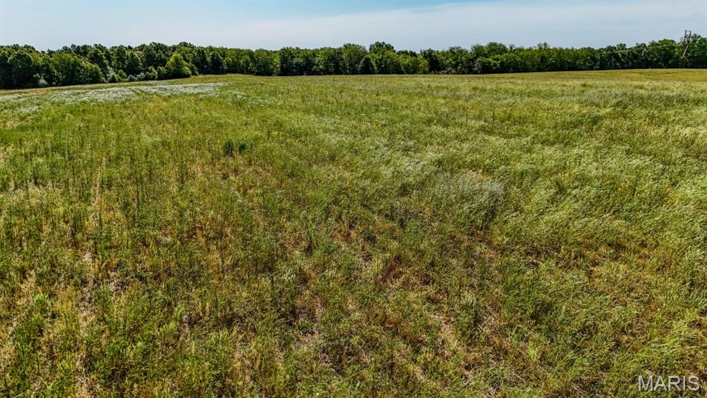 0 East Heller Road Columbia, MO 65202 - Photo 17 of 22