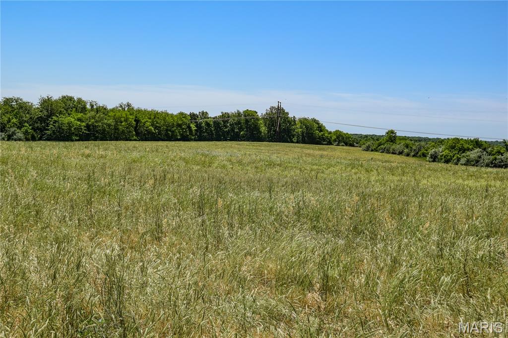 0 East Heller Road Columbia, MO 65202 - Photo 5 of 22