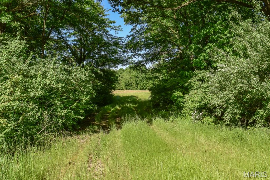 0 East Heller Road Columbia, MO 65202 - Photo 10 of 22