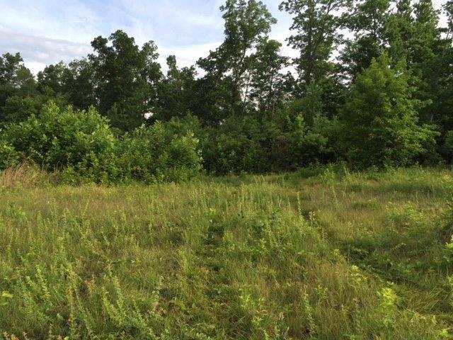 2969 Piney Grove Road Somerset, KY 42501 - Photo 6 of 9 Additional Photo