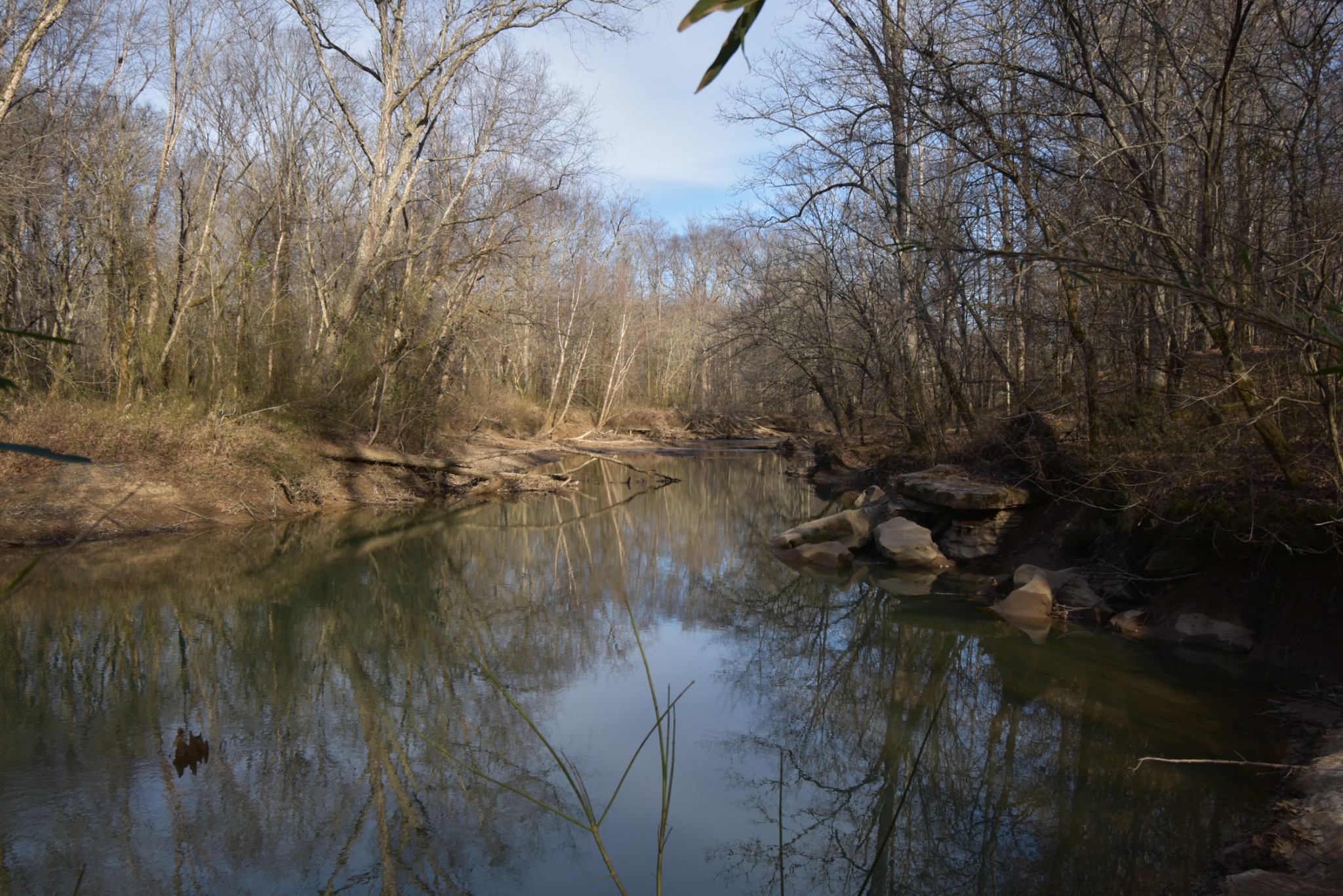 0 Gus Mathis Road Parsons, TN 38363 - Photo 1 of 26 Gallery Image 1