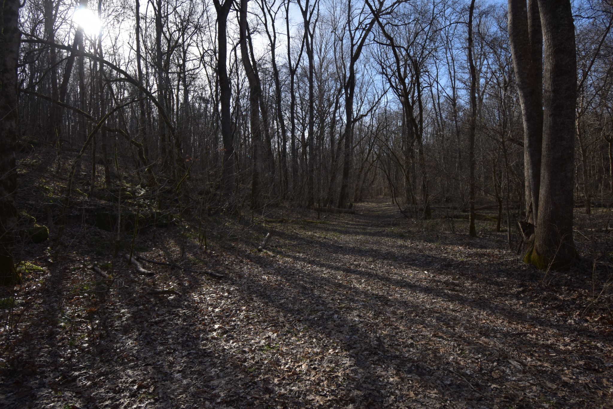 0 Gus Mathis Road Parsons, TN 38363 - Photo 13 of 26 Gallery Image 13