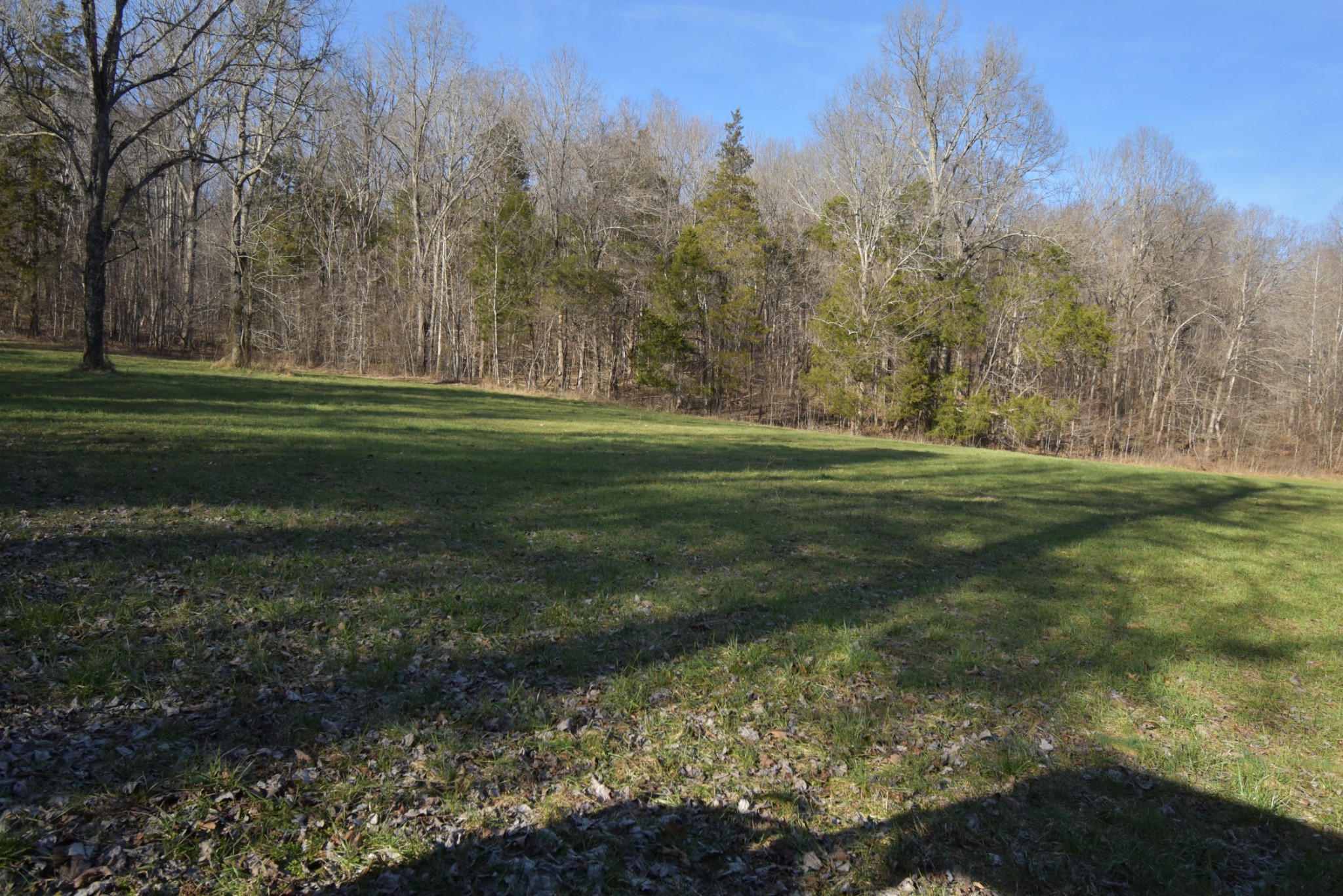 0 Gus Mathis Road Parsons, TN 38363 - Photo 18 of 26 Gallery Image 18