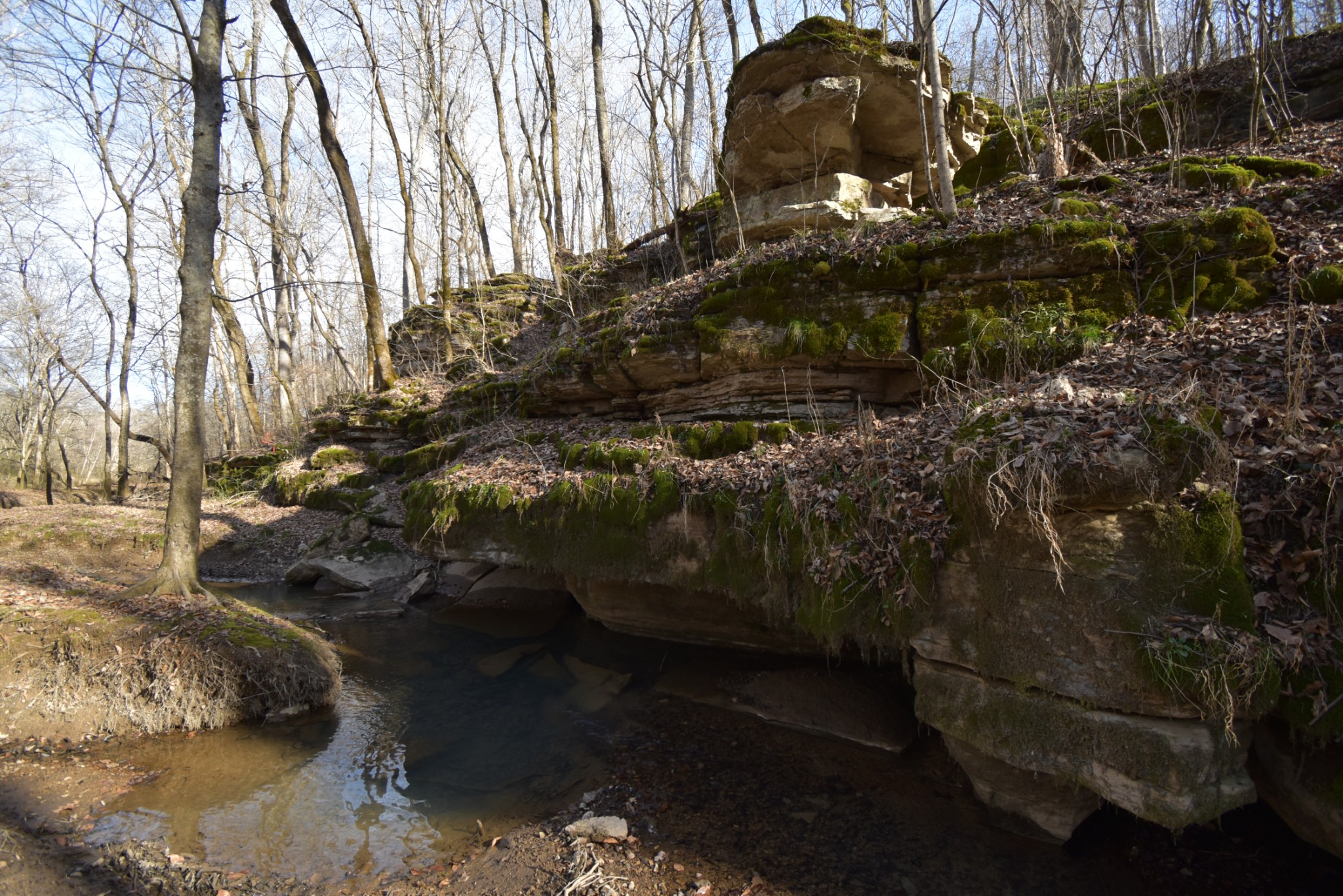 0 Gus Mathis Road Parsons, TN 38363 - Photo 2 of 26 Gallery Image 2