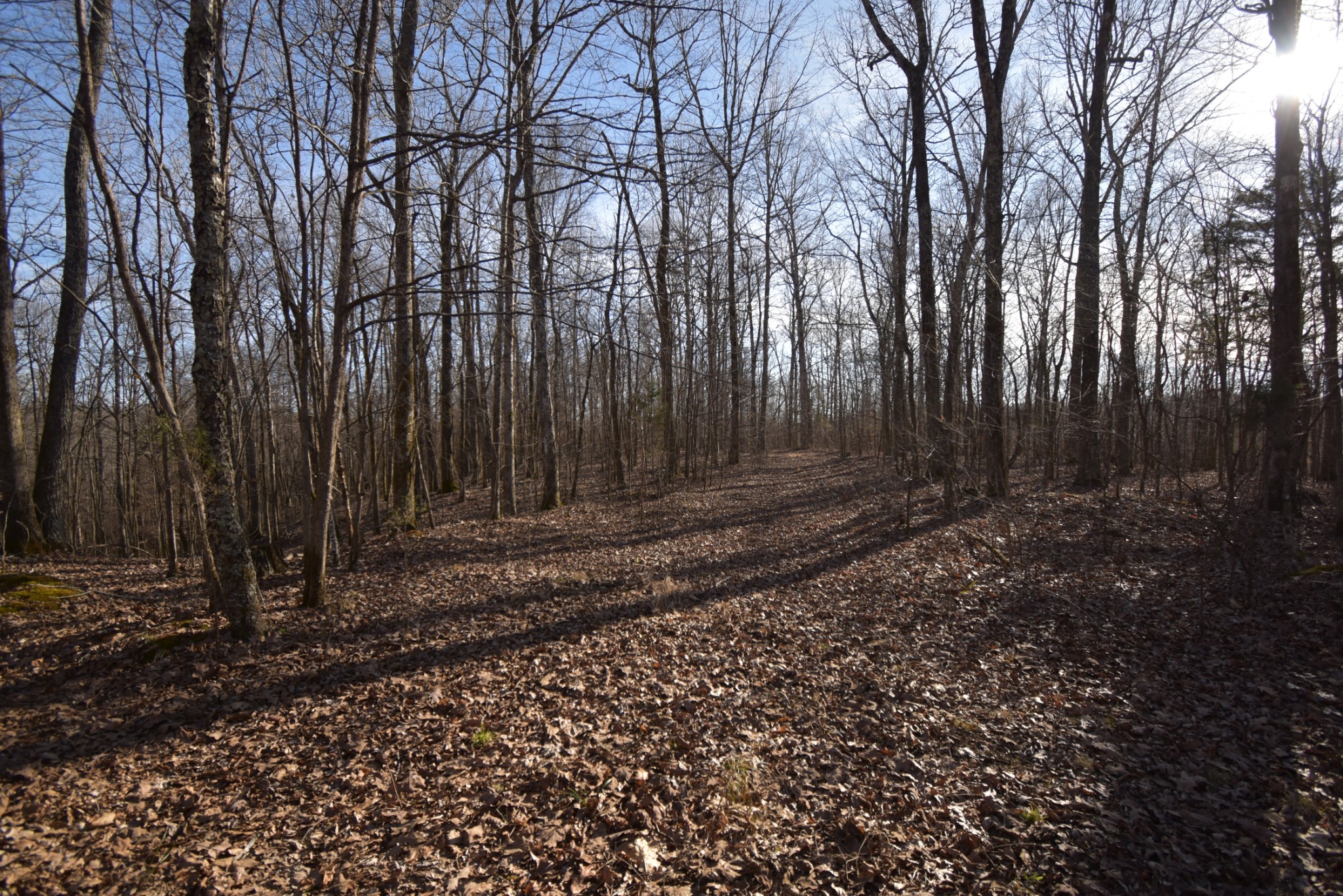 0 Gus Mathis Road Parsons, TN 38363 - Photo 21 of 26 Gallery Image 21