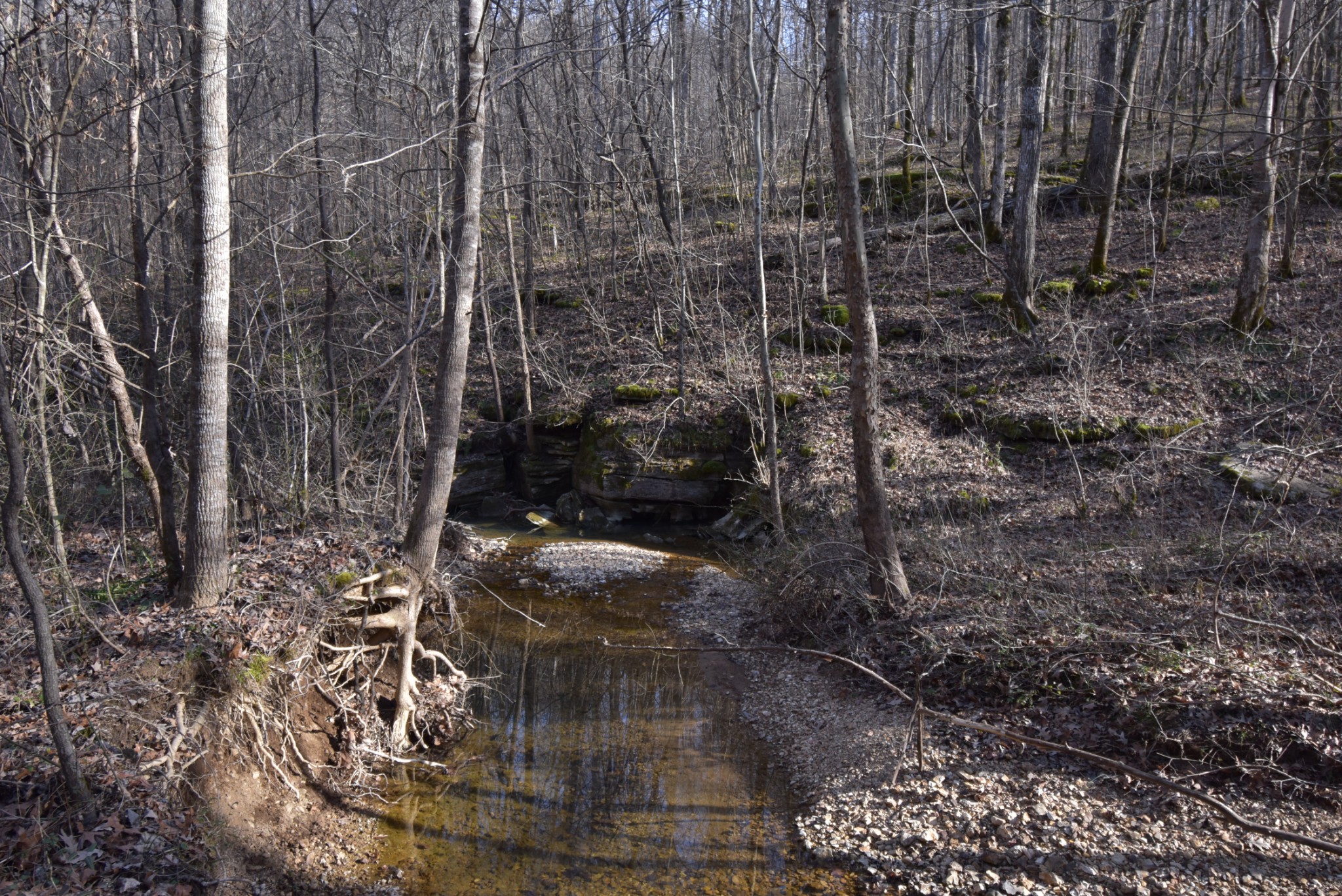 0 Gus Mathis Road Parsons, TN 38363 - Photo 3 of 26 Gallery Image 3