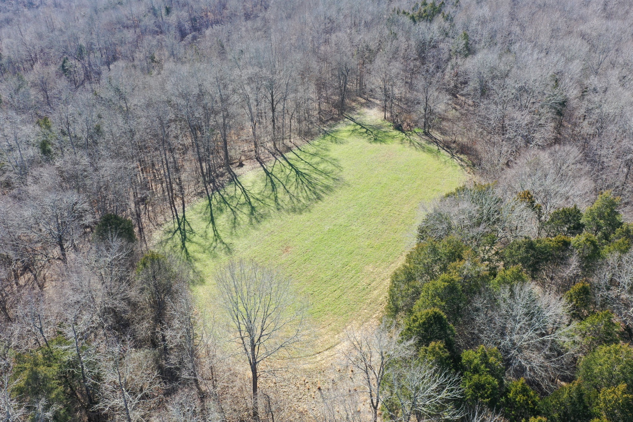 0 Gus Mathis Road Parsons, TN 38363 - Photo 7 of 26 Gallery Image 7