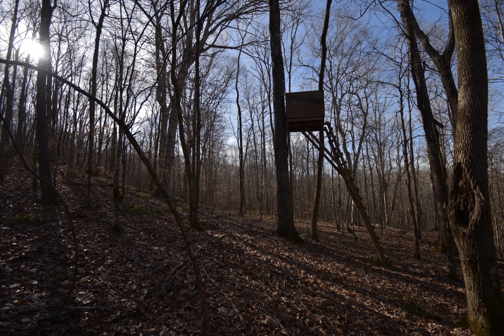 0 Gus Mathis Road Parsons, TN 38363 - Photo 8 of 26 Gallery Image 8