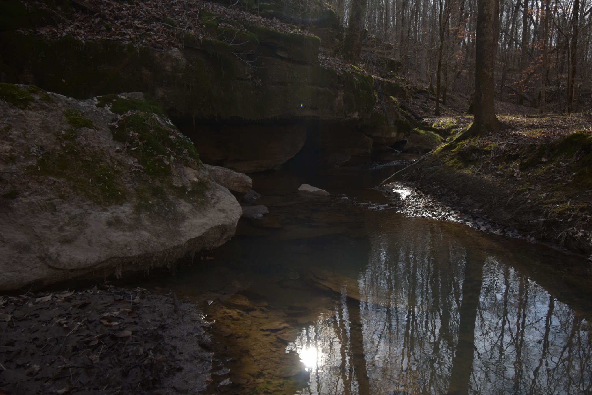 0 Gus Mathis Road Parsons, TN 38363 - Photo 10 of 26 Gallery Image 10