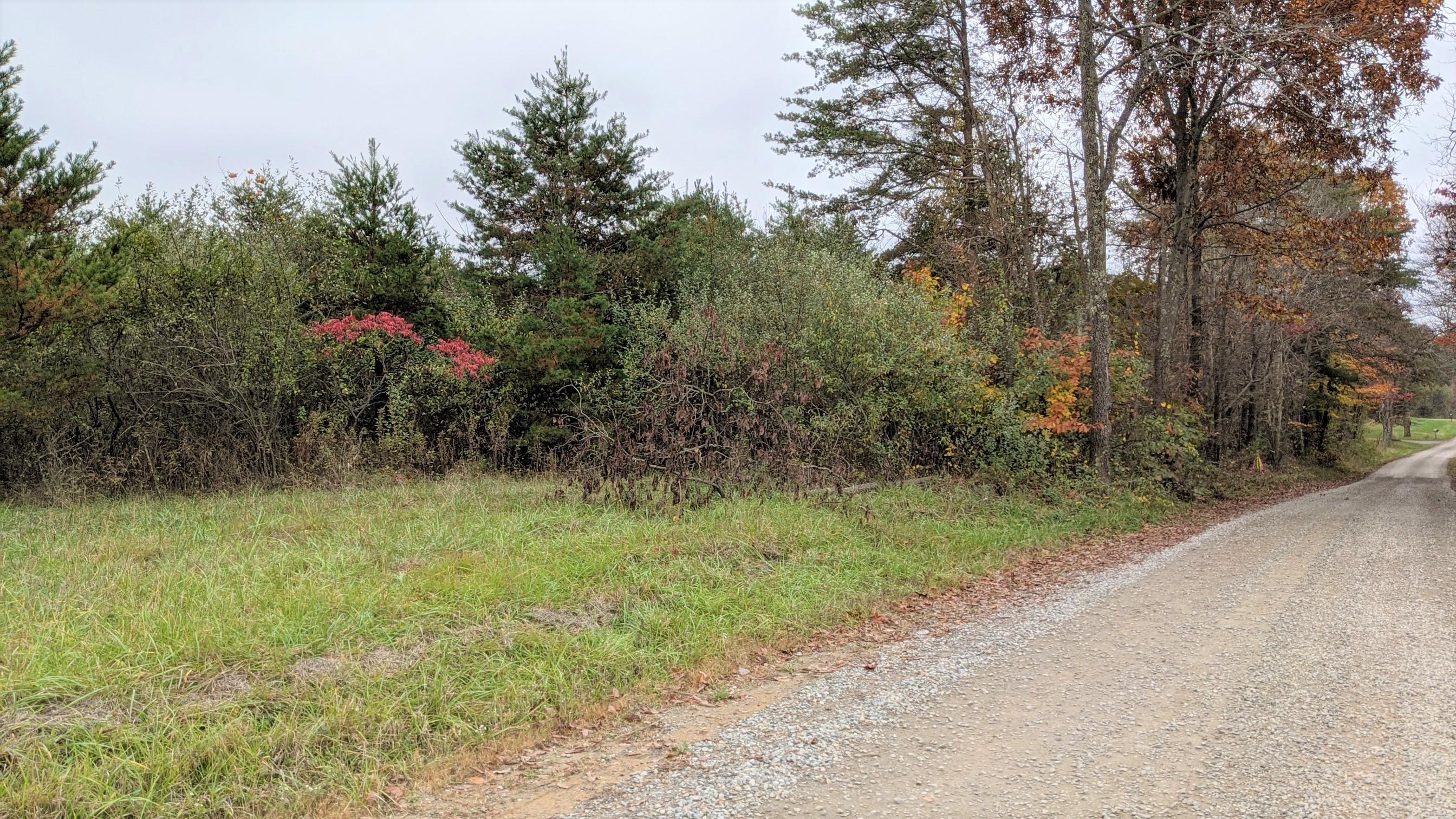 0 Boyer Road Guysville, OH 45735 - Photo 1 of 12 Gallery Image 1